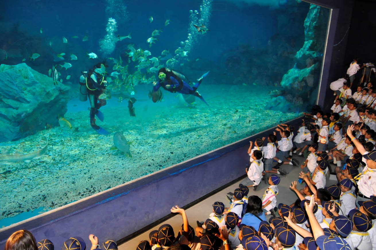 Aquarium expansion offers a fascinating fish tank